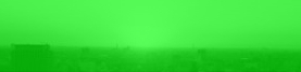 contact image1